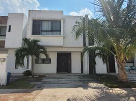Villa 3 chambre à louer à Cozumel, Quintana Roo, Cozumel