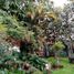  Terreno (Parcela) en venta en Guadalajara, Jalisco, Guadalajara, Jalisco