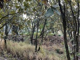  Terreno (Parcela) en venta en Guadalajara, Jalisco, Guadalajara, Jalisco