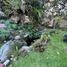  Terreno (Parcela) en venta en Guadalajara, Jalisco, Guadalajara, Jalisco