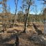  Land for sale in Morelia, Michoacan, Morelia, Michoacan