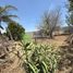  Land for sale in Erongaricuaro, Michoacan, Erongaricuaro