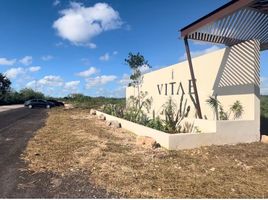  Terreno (Parcela) en venta en Yaxkukul, Yucatán, Yaxkukul
