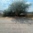  Terreno (Parcela) en alquiler en Queretaro, Querétaro, Queretaro, Querétaro