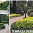 0 m² Office for rent in Mexico City, Miguel Hidalgo, Mexico City