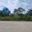  Grundstück zu verkaufen in Ixil, Yucatan, Ixil
