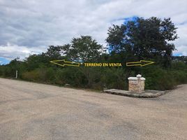  Grundstück zu verkaufen in Ixil, Yucatan, Ixil