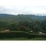  Land for sale in Anapoima, Cundinamarca, Anapoima