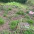  Land for sale in San Gil, Santander, San Gil