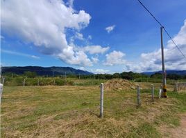  Terreno (Parcela) en venta en Ibague, Tolima, Ibague