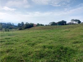  Terreno (Parcela) en venta en El Carmen De Viboral, Antioquia, El Carmen De Viboral