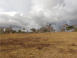  Land for sale in Santander, Curiti, Santander