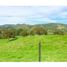Terrain à vendre à La Ceja, Antioquia, La Ceja, Antioquia