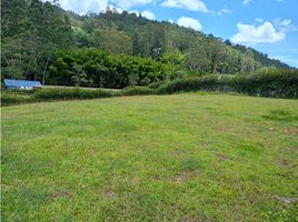 Terrain à vendre à Rionegro, Antioquia, Rionegro, Antioquia