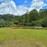 Terrain à vendre à Rionegro, Antioquia, Rionegro, Antioquia