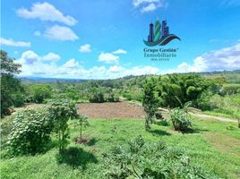  Grundstück zu verkaufen in Renacimiento, Chiriqui, Monte Lirio, Renacimiento