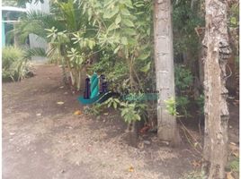 2 Bedroom House for sale in San Pablo Viejo, David, San Pablo Viejo