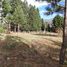  Land for sale in Neuquen, Lacar, Neuquen