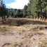  Land for sale in Neuquen, Lacar, Neuquen