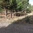  Land for sale in Neuquen, Lacar, Neuquen