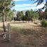  Land for sale in Neuquen, Lacar, Neuquen