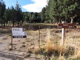  Land for sale in Neuquen, Lacar, Neuquen