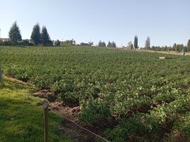  Terreno (Parcela) en venta en Combita, Boyaca, Combita