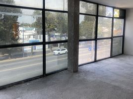165 m2 Office for rent in Atizapan De Zaragoza, Mexico, Atizapan De Zaragoza