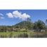  Land for sale in Herveo, Tolima, Herveo