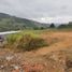  Land for sale in Penol, Antioquia, Penol