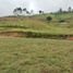  Land for sale in Penol, Antioquia, Penol