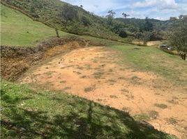  Land for sale in San Vicente, Antioquia, San Vicente