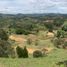  Land for sale in San Vicente, Antioquia, San Vicente