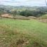  Land for sale in San Vicente, Antioquia, San Vicente