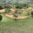  Land for sale in San Vicente, Antioquia, San Vicente