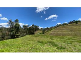  Terreno (Parcela) en venta en Guarne, Antioquia, Guarne, Antioquia