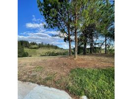  Terreno (Parcela) en venta en Envigado, Antioquia, Envigado