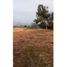  Land for sale in Necocli, Antioquia, Necocli