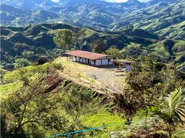 3 Habitación Villa en venta en Concepcion, Antioquia, Concepcion