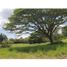  Land for sale in Dosquebradas, Risaralda, Dosquebradas