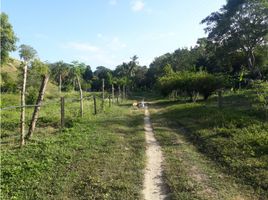  Land for sale in Magdalena, Santa Marta, Magdalena