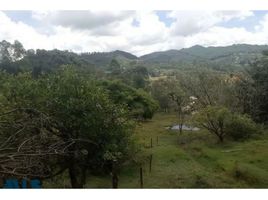  Terreno (Parcela) en venta en Rionegro, Antioquia, Rionegro