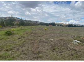  Land for sale in Oicata, Boyaca, Oicata