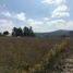  Land for sale in Paipa, Boyaca, Paipa