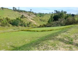  Land for sale in Marinilla, Antioquia, Marinilla