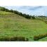  Land for sale in Marinilla, Antioquia, Marinilla