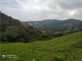 Estudio Casa en venta en Colombia, La Union De Sucre, Antioquia, Colombia