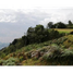  Grundstück zu verkaufen in Medellin, Antioquia, Medellin