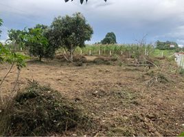  Land for sale in Popayan, Cauca, Popayan