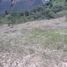  Land for sale in Marinilla, Antioquia, Marinilla